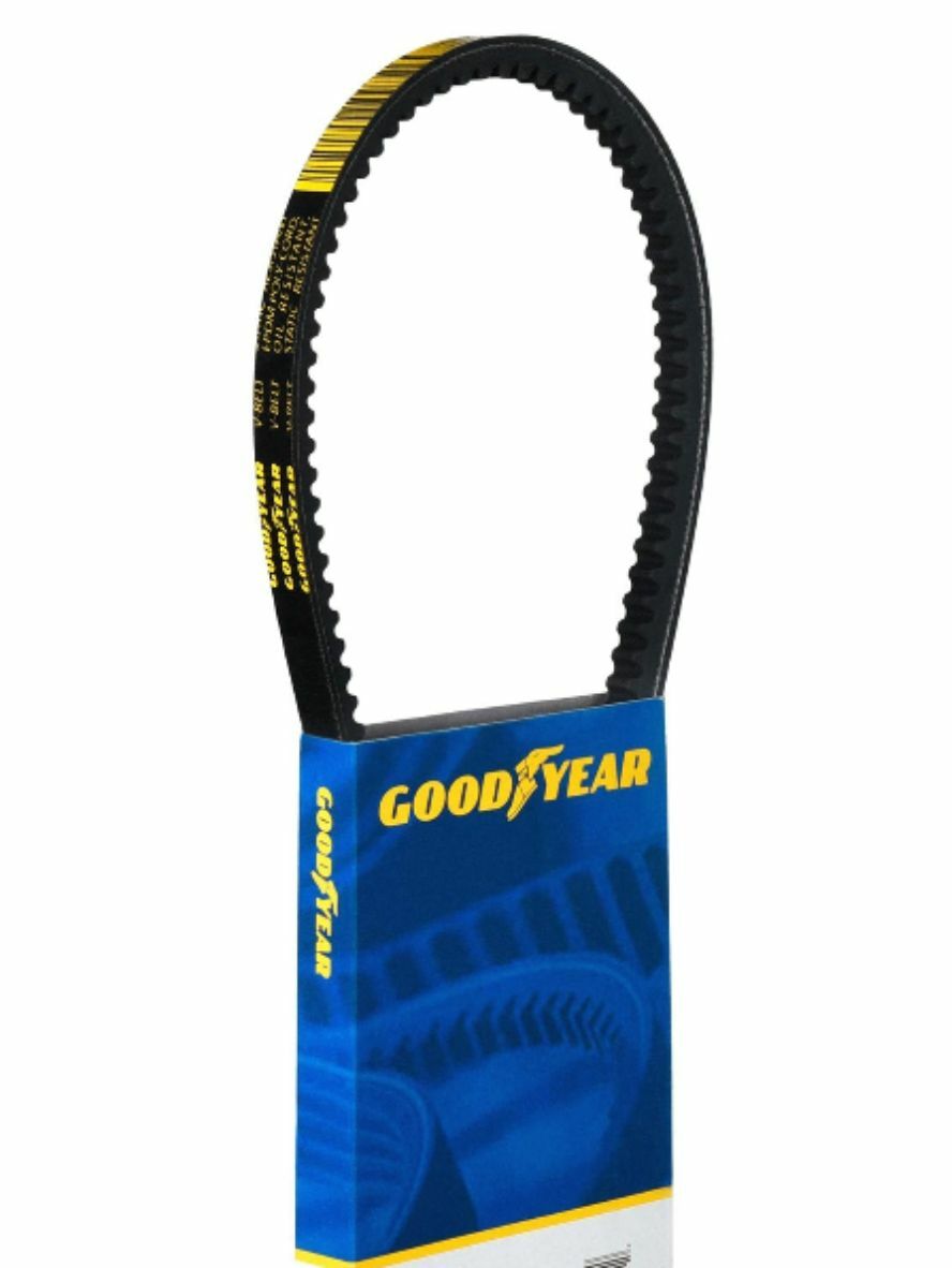 1975-1977 Audi 100 Series V-Belt Goodyear 15255