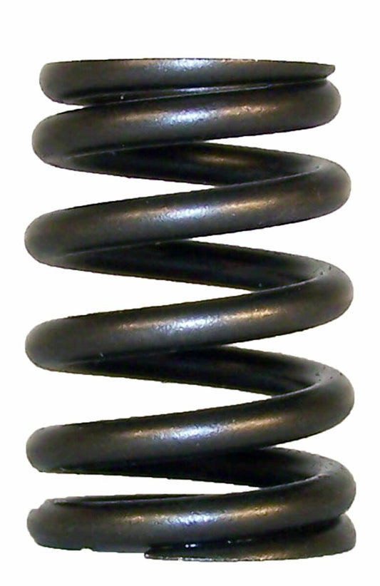 Crown Automotive - Metal Unpainted Valve Spring - 53010388
