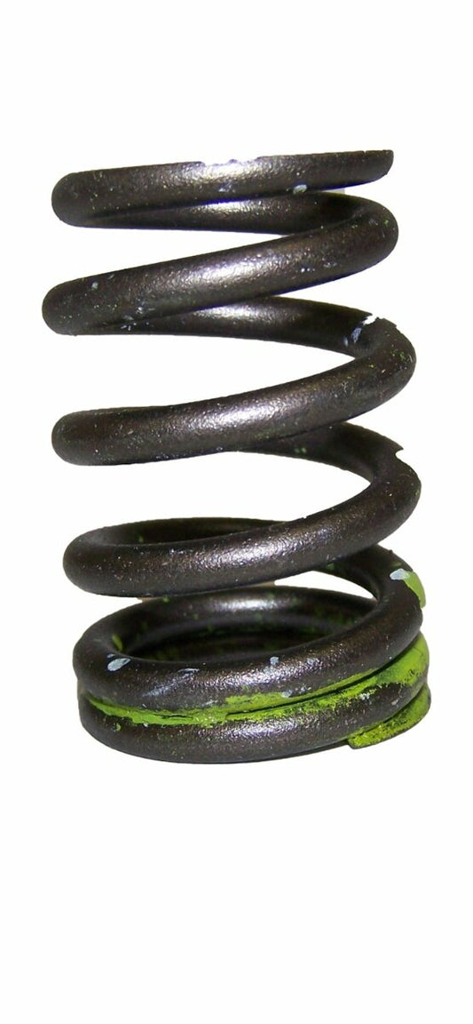 Crown Automotive - Metal Unpainted Valve Spring - 53021056