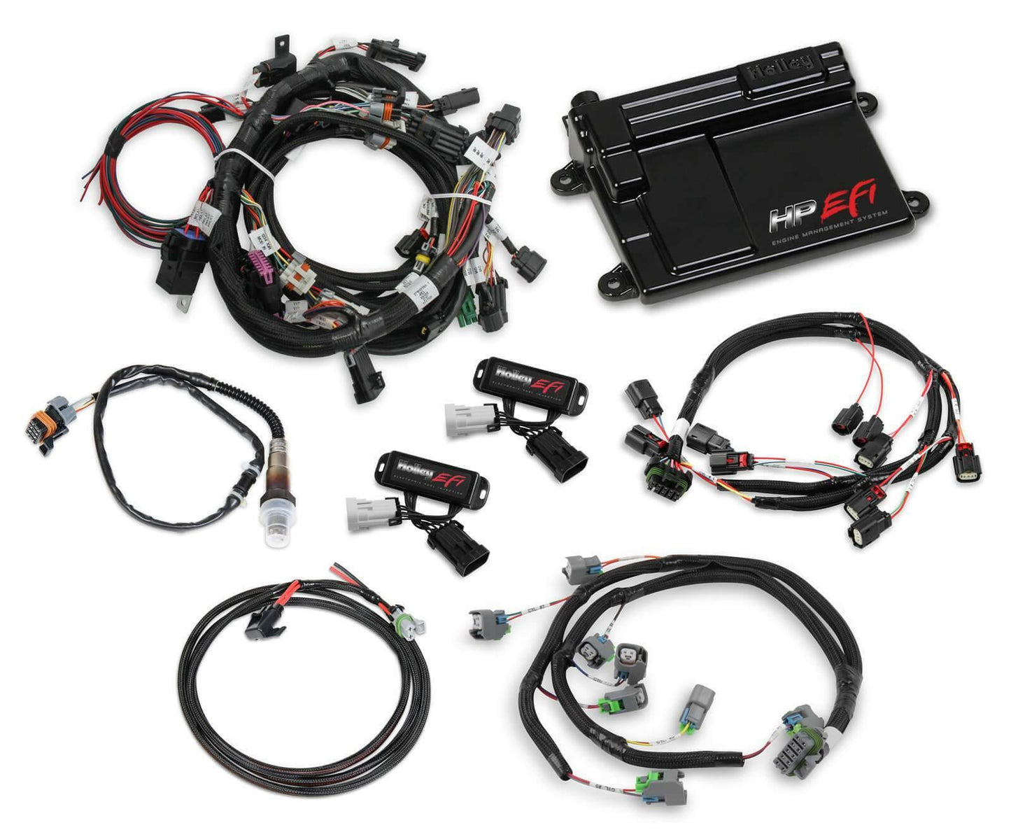 Ford Coyote Ti-VCT Capable HP EFI Kit, Bosch O2 - 550-628