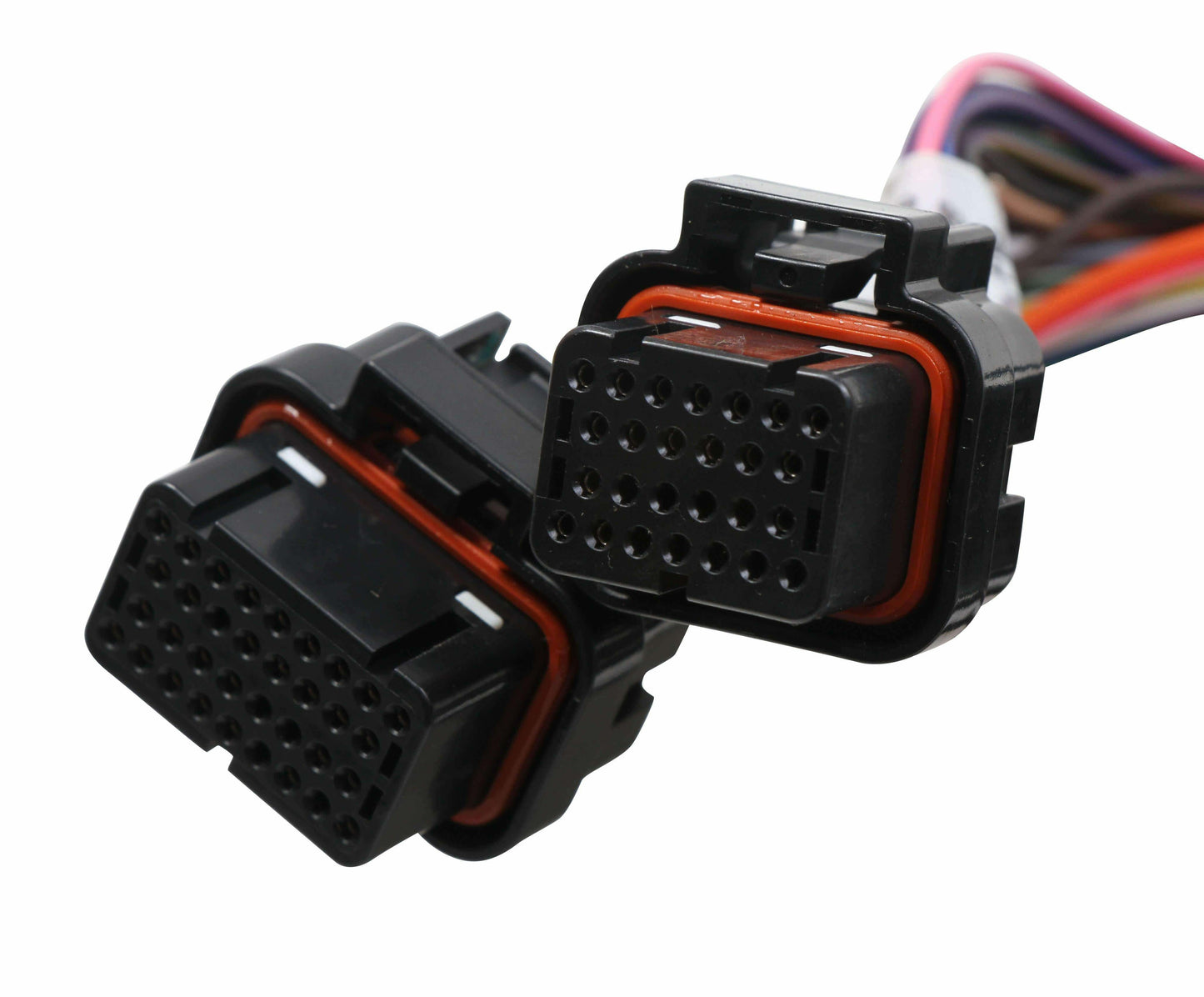 Terminator Stealth 2x4 MAIN HARNESS - 558-121