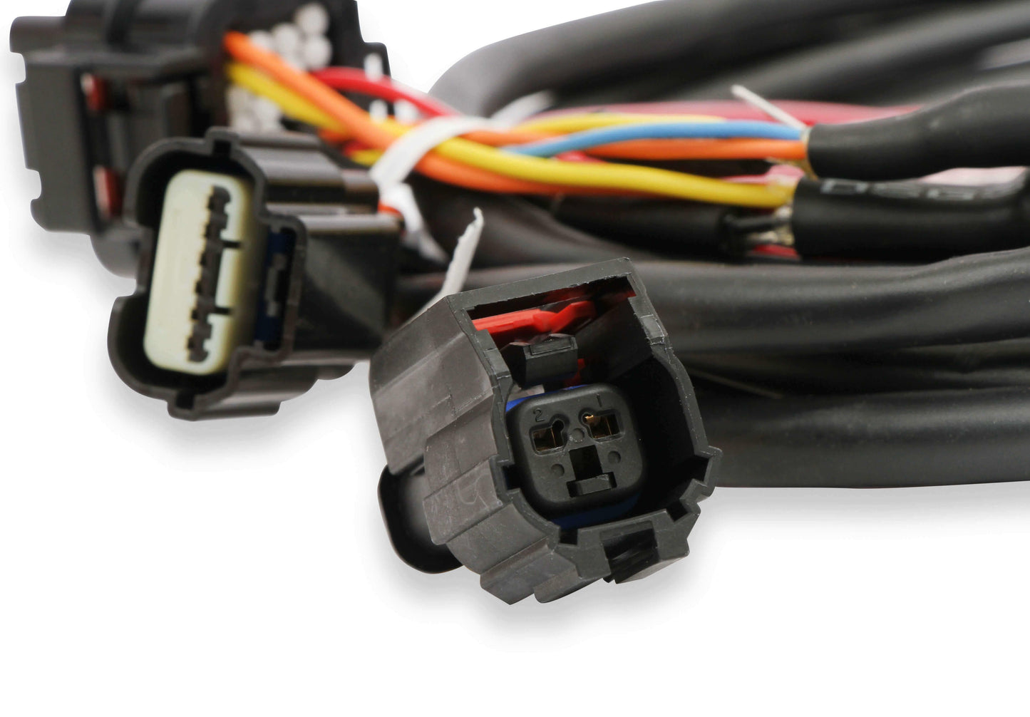 Holley EFI Ford GT500 and 3V Drive-by-Wire Throttle Body Harness - 558-461