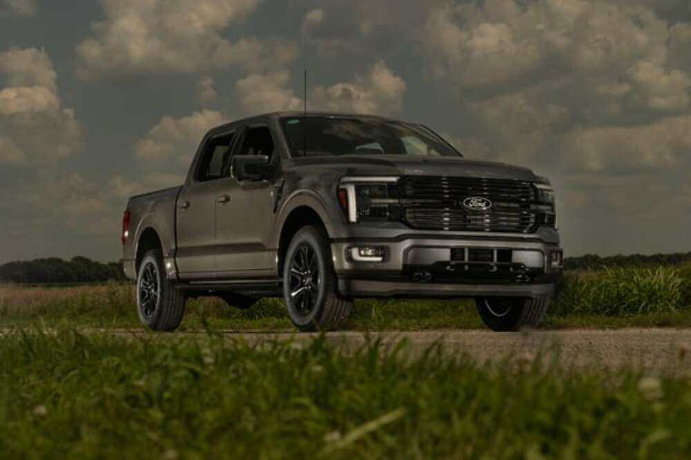 Fits 2021-2024 Ford F-150 2.7/3.5/5.0L, Cat-Back single exit exhaust 738115