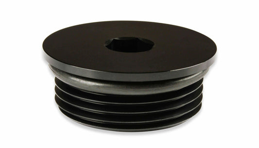 Earls AN Port Plug - Allen Head - AT981316ERL