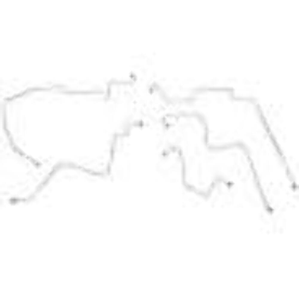 2002-05 Dodge Ram 1500 Brake Line Kit Quad Cab/Short Bed 4x4 RWABS Stainless CBK0059SS