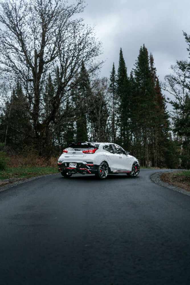 Fits 2019-22 Hyundai Veloster N 3" Cat Back Dual Exit 304 w/Carbon Tips-S47063CF - Cat Back Exhaust Car Part People