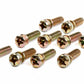 Throttle Body Screw - 1005-567