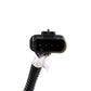 Fits 2016-24 Camaro 6.2L O2 Wire Harness Extensions-Manual Transmission-1122 - Car Part People