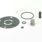 Fuel Pump Check Valve Kit - 12-820
