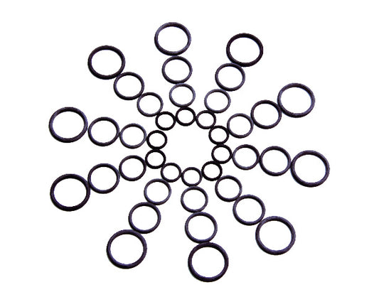 O-Ring Assortment Performance Fuel System Universal Fit Aeromotive 15621-BGPL