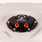 Fuel Tank Fuel System Universal Fit Aeromotive 19115-BGPL