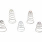 Secondary Diaphragm Spring Kit - 20-13