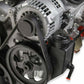Holley Premium Mid-Mount Race Accessory System - Natural 20-201