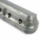 Gen III/IV LS-Cast Aluminum-Coil-Mounting Base & Integrated Coil Cover 241-185