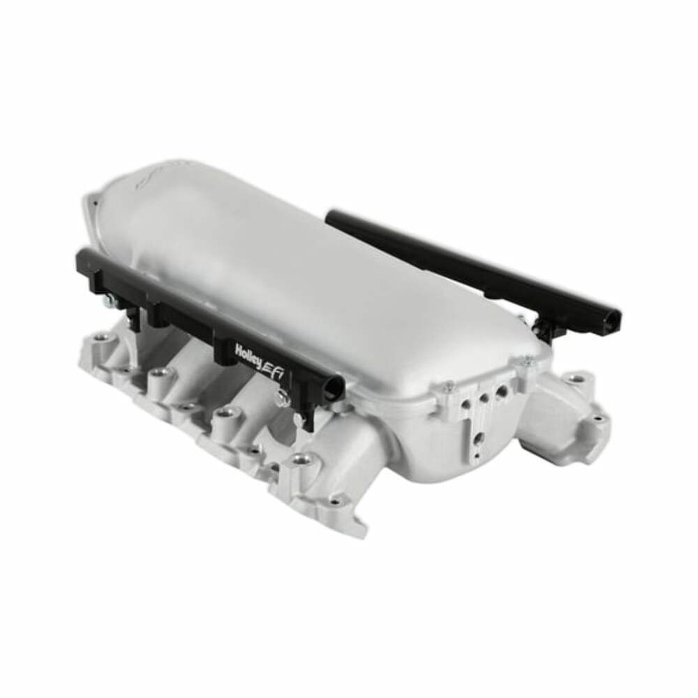 Lo-Ram Manifold Kit & Port Inject Fuel Rails-Gm Gen V Lt Top-Feed-Satin-300-718