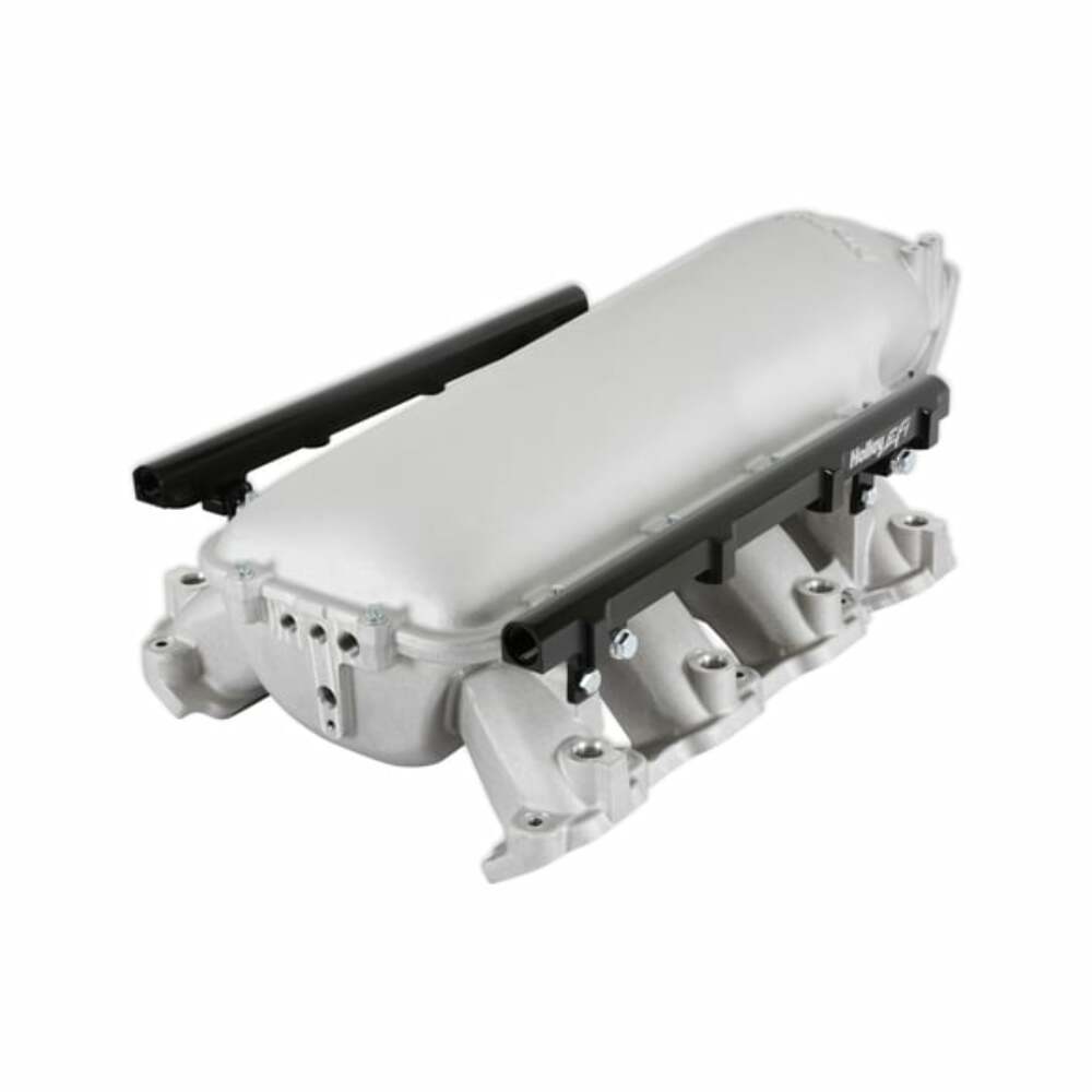 Lo-Ram Manifold Kit & Port Inject Fuel Rails-Gm Gen V Lt Top-Feed-Satin-300-718