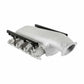 Lo-Ram Manifold Kit & Port Inject Fuel Rails-Gm Gen V Lt Top-Feed-Satin-300-718
