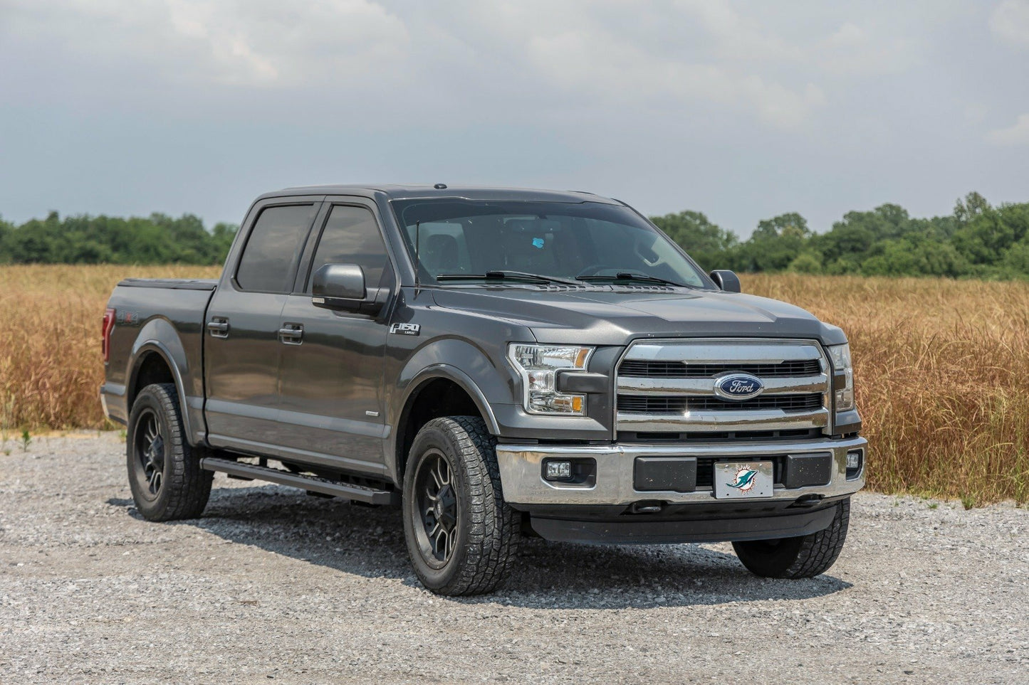 Fits Ford F-150 2WD/4WD (2015-2024) BA2 Running Board; Side Step Bars; 41010