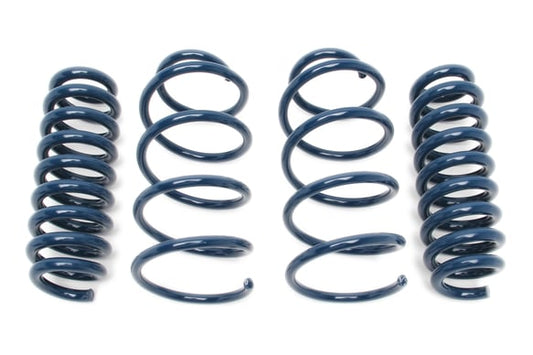 Dinan Performance Spring Set for 2008-2011 BMW M3 D100-0919