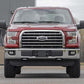 Fits Ford F-150 4WD (2014-2024) N3 Leveling Struts; 2 Inch; Loaded Strut; 501068