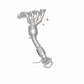 06-09 Mazda 3 2.0L Direct-Fit Catalytic Converter 50616 Magnaflow - Catalytic Converters Car Part People
