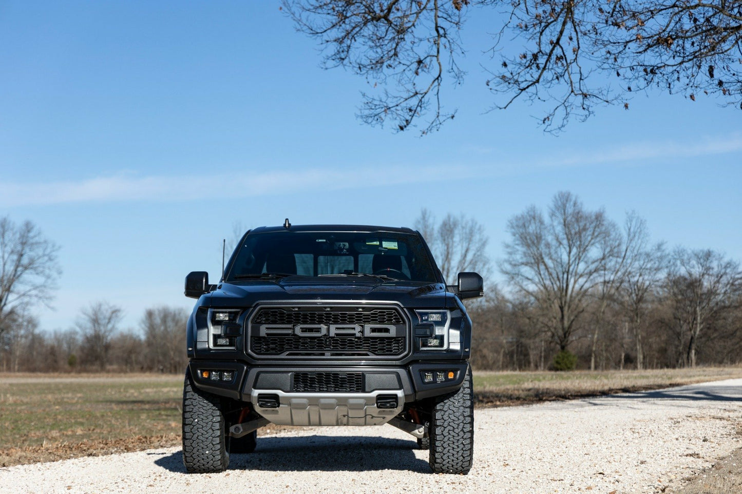 Fits Ford Raptor 4WD (2019-2020) 2.5 Inch Lift Kit; 51031