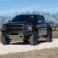 Fits Ford Raptor 4WD (2019-2020) 2.5 Inch Lift Kit; 51031