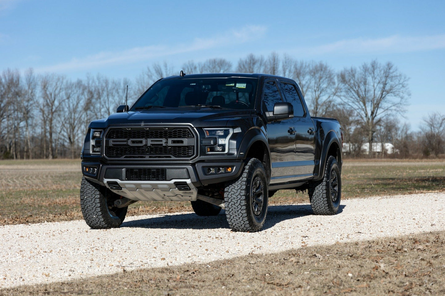 Fits Ford Raptor 4WD (2019-2020) 2.5 Inch Lift Kit; 51031