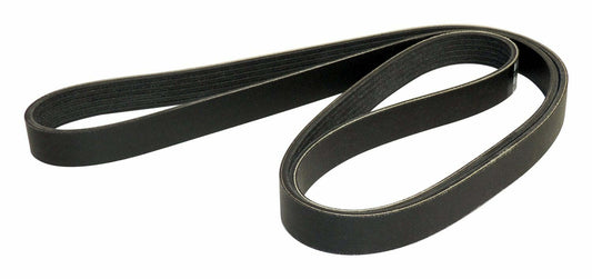 Crown Automotive - Rubber Black Accessory Drive Belt - 5281374AA