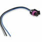 TPS Kit for Gen 3 Dominator - 534-214