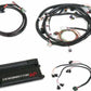 Dominator EFI Kit - Universal Main Harness  with EV1 Injector Harness 550-652