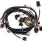LS1/6 (24x/1x) Engine Main Harness - 558-102