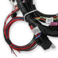 Holley EFI Ford Coyote Engine Main Harness w/ Ti-VCT & stock coil 11-17 -558-110