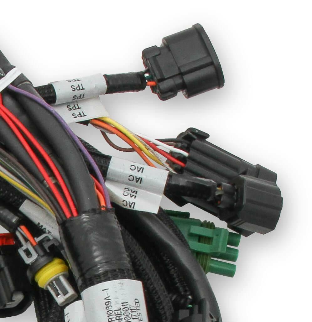 Holley EFI Ford Coyote Engine Main Harness w/ Ti-VCT & stock coil 11-17 -558-110