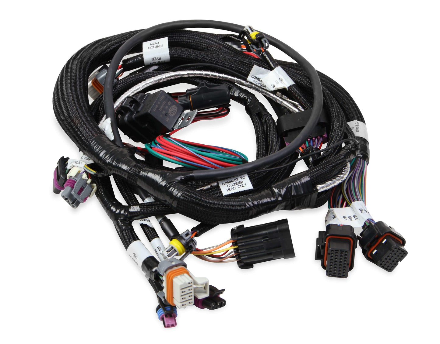 TERMINATOR EFI MAIN WIRING HARNESS-TBI,LSX, 58x - 558-112