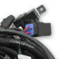 HolleyEFI Ford Coyote Ti-VCT Main Harness for HolleyEFI HP smart coils - 558-122