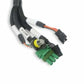 Holley EFI Benchtop Harness 558-127