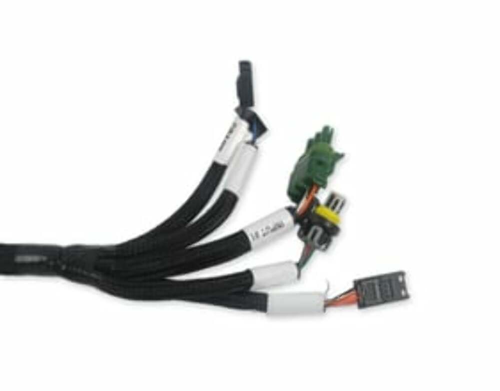 Holley EFI Benchtop Harness 558-127