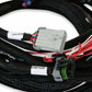 5.0L Ford Foxbody EFI Main Harness 558-128