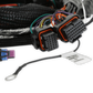 Holley EFI Gen V LT Engine Main Harness 558-129