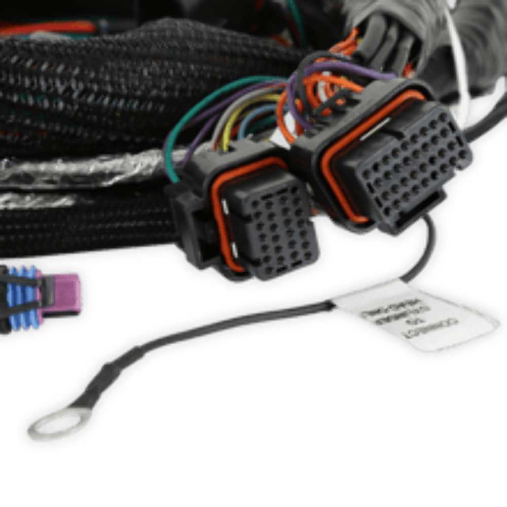 Holley EFI Gen V LT Engine Main Harness 558-129