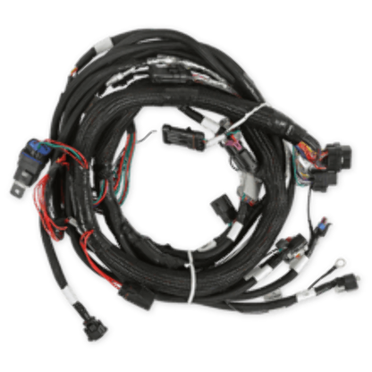Holley EFI Gen V LT Engine Main Harness 558-129