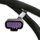 Holley EFI GM GEN V GDI Subharness 558-220