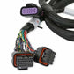 Holley EFI GM GEN V GDI Subharness 558-221