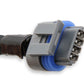 LS COIL HARNESSES - 558-321