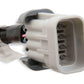 LS COIL HARNESSES - 558-321