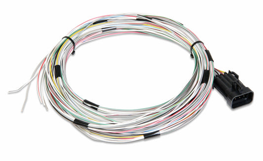 Connector J1A/B Input/Outputs Auxiliary Harness - 558-400