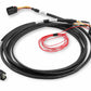 Ford Coyote (2011-2017) Drive-By-Wire Harness - 558-422