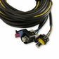 Terminated Vehicle Harness for Digital Dash 558-436