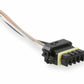 CAN Adapter Harness, 12" 558-451